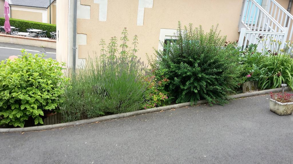 Auberge Du Cheval Blanc Beaumont-Pied-de-Boeuf  Kültér fotó